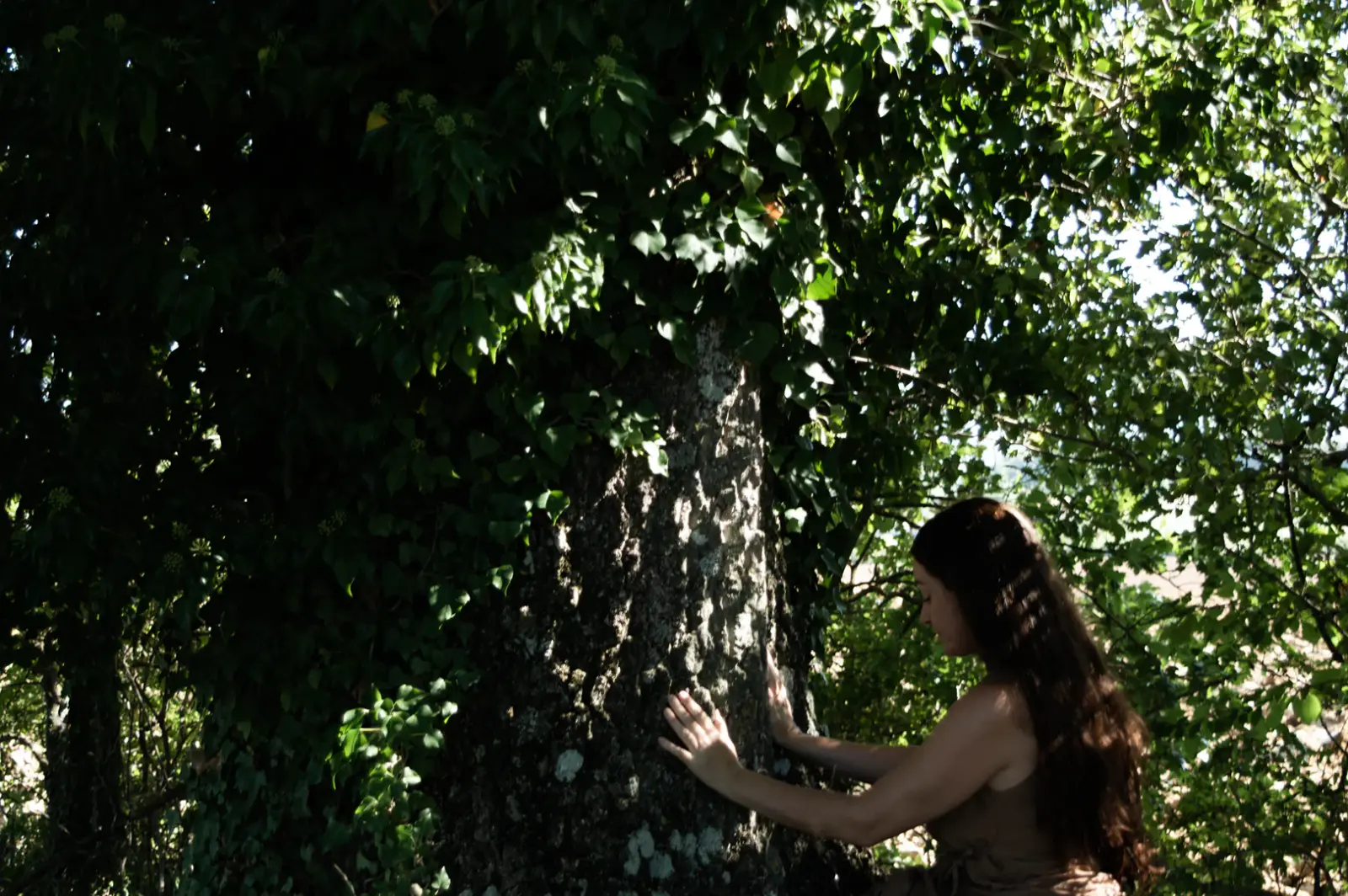 Le mani di Arianna appoggiate alla corteccia di un grande albero